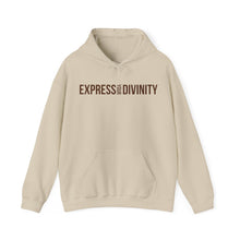 Load image into Gallery viewer, Express Your Divinity Hoodie
