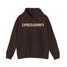 Load image into Gallery viewer, Express Your Divinity Hoodie
