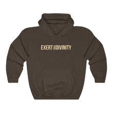 Load image into Gallery viewer, Exert Your Divinity Hoodie
